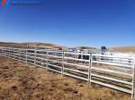 Anti Rust Galvanized Steel Cattle Yard Panels For Farm Fencing