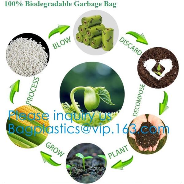Cassava Biodegradable Pla Bin Bag/Compostable Garbage Bag Rolls/Cornstarched Bag, Compostable And Boidegradable K Pla