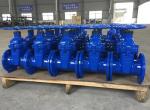 DIN3352 resilient seal F4 cast iron gate valve body material GGG50