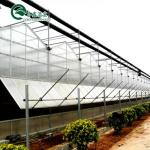 Polycarbonate Sheet Aquaponic Tomato Galvanized Steel Pipe For Prefabricated