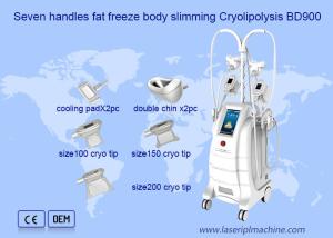 China Fat Freezing Double Chine Removal Cryolipolysis Machine wholesale