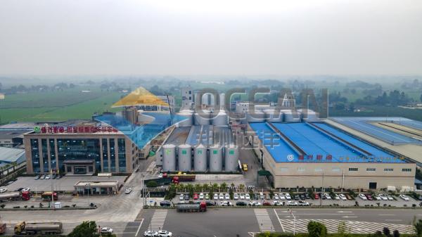 Water Cooling Edible Oil Extraction Plant PLC Control For Professional