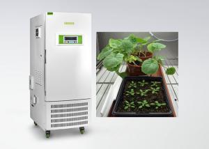 China CE Humidity Control Plant Growth Chamber For Plant Tissue Culture Special Type wholesale
