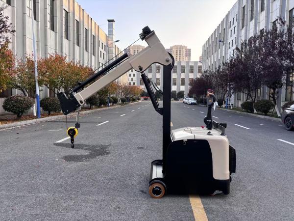 Motor Customized Electric Counter Balance Forklift Mini Crane Arm Length 2480 mm