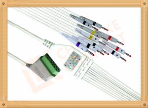 China Nihon Kohden BJ900P ECG Monitor Cable 10 Leadwires Banana IEC wholesale