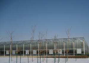 China Automatic PC Sheet Greenhouse , Rigid Plastic Sheets Greenhouse Customized Span wholesale