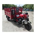 Nigeria Market 300cc Gasoline Motorized Tricycle with 1000W Power and 2390mm