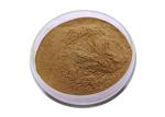 Pharmaceutical Grade Ginkgo Biloba Extract Powder For Health Care