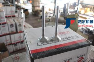 China WP123003QD Weichai Engine Spare Parts Air Intake Valve 612600050073 wholesale