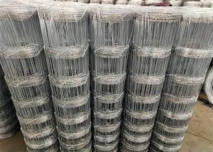 China Livestock Animal Hinge Joint Wire Mesh Hot Dipped Galvanized wholesale