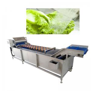China Belt Type 2T/H Vegetable Fruit Washing Machine High Pressure Spray Washing Machine wholesale