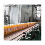 Professional Supplier for Fruit Juice Processing plant Fruit Juice Making Line