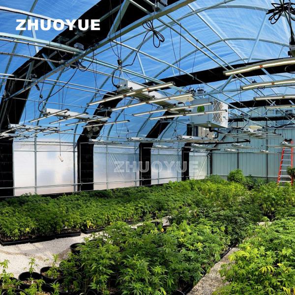Curved Metal Frame Plastic Film Blackout Greenhouse Complete Kit Mushroom