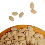 Amazon hot sale wholesale Customizable bagged salt and pepper flavored pumpkin