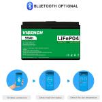 Visench 12V 100Ah Lifepo4 Lithium Iron Battery Pack Deep Cycle Times battery