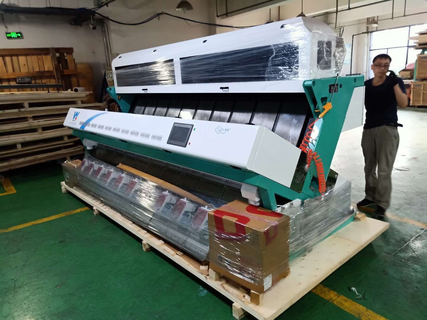 Grain Peanut 256 Channels Nuts Color Sorter With Toshiba CCD Camera