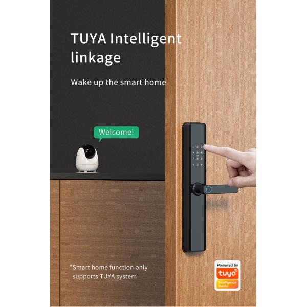 Anti Corrosion Advanced Intelligent Door Lock 6V With SDK Network