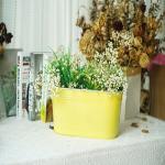 Exquisite Wall Hanging Ornaments Multicolor Decorative Metal Flower Pots ODM