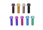Flange Flower Head Titanium Cycle Disc Roter Bolt Button Head Torx Drive