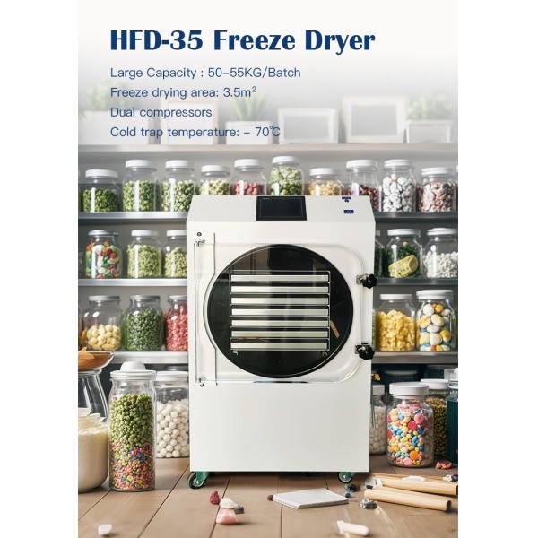 Industrial Freeze Dryer with Embraco Compressor &-55°C Cold Trap Temperature