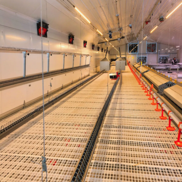 Modular Structure Automatic Pan Feeding System for High Energy Efficiency Broiler Floor Farming with Quick Assembly