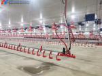 KXD Poultry House Equipment Automatic Broiler Feeding System For Broilers /