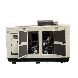 China 230/400V 300KVA 250kw Super Silent Super sound proof Biogas LPG Biomass Natural Gas Generator Set wholesale