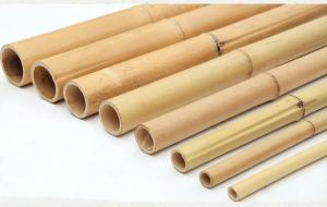 China 100% Natural Raw 240cm Bamboo Pole Building Deoration 60cm To 595cm wholesale
