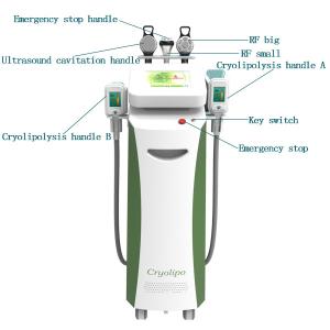 China Powerful fat freeze Cryolipolysis slimming cavitation vacuum rf cool sculpting machines wholesale