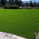 Fake Artificial Grass Carpet / Fake Grass Rug Outdoor Indoor 4*25m 2*25m