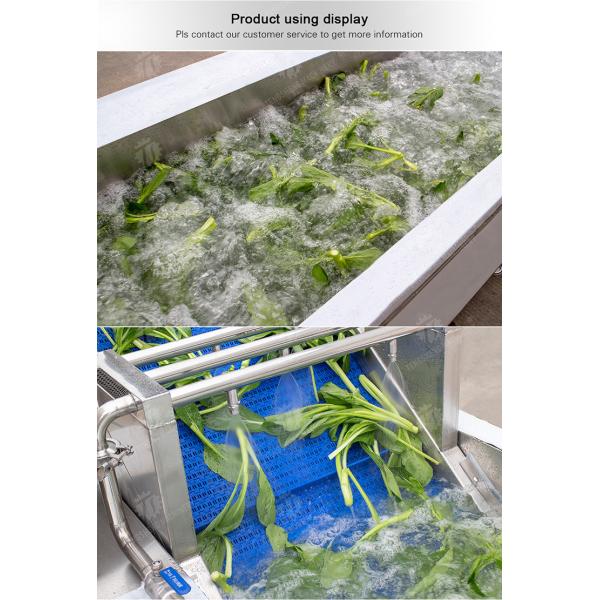 240KG 380V Automatic stainless steel fruit washing machine fruit cleaning equipment