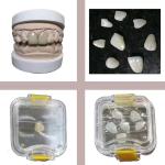 Plastic Material Dental Lab Tools Membrane Tooth Retainer Case Denture Storage