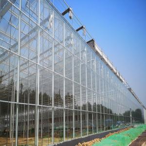 China Galvanized Steel Horticultural Glass Greenhouse Waterproof Good Anti Corrosive Effect on sale