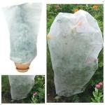 Windproof Winter Tree Cover Bag Durable , Anti Freeze Frost Bags For Trees
