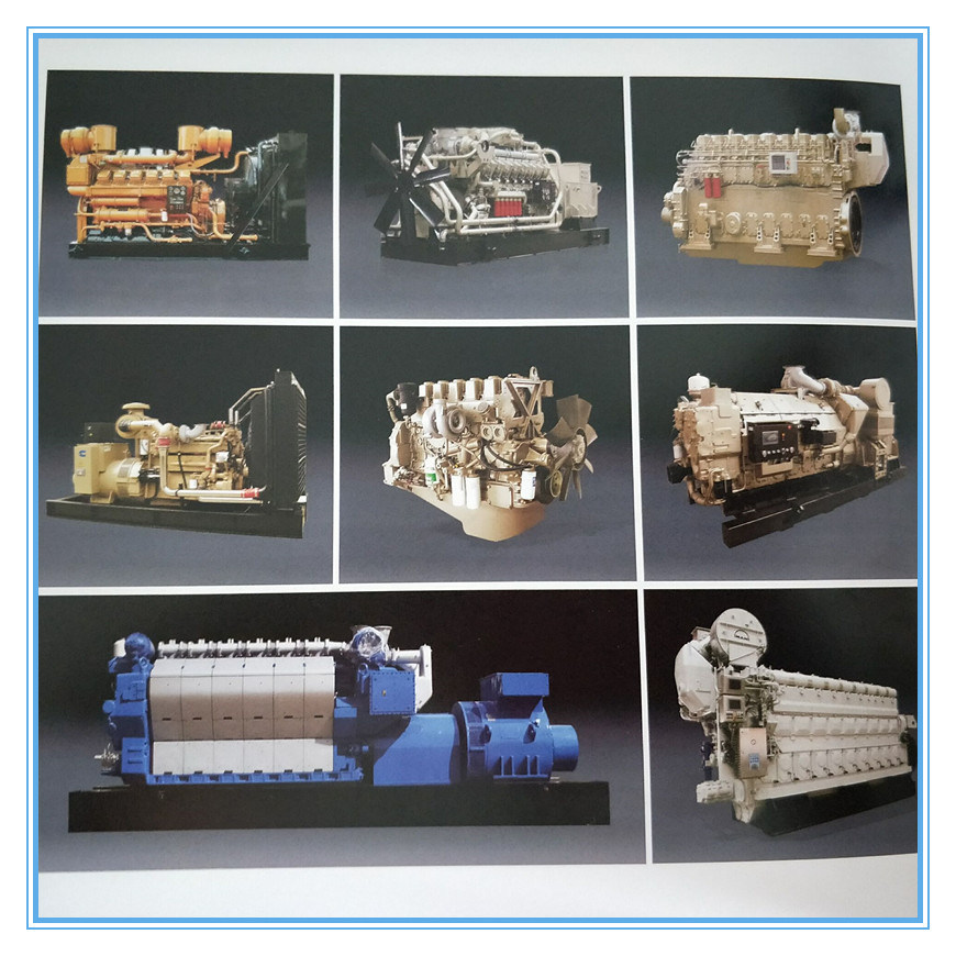Jichai Chidong 12V190 Jinan Diesel Engine