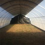Single Span Tunnel vegetable Light Deprivation Greenhouse Length 30-45ft