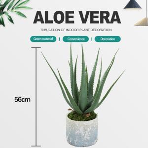 China Plastic Artificial Aloe Vera For Indoor Decoration Fake Plants wholesale