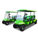 Custom Electric Limo 8 Passenger Golf Cart Buggy