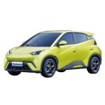 Fast Charging battery electric vehicle modern 5 Seat Electric Car ergonomic