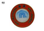 Lightweight Graduation Lapel Pins , Modern School Badges And Pins With Epoxy