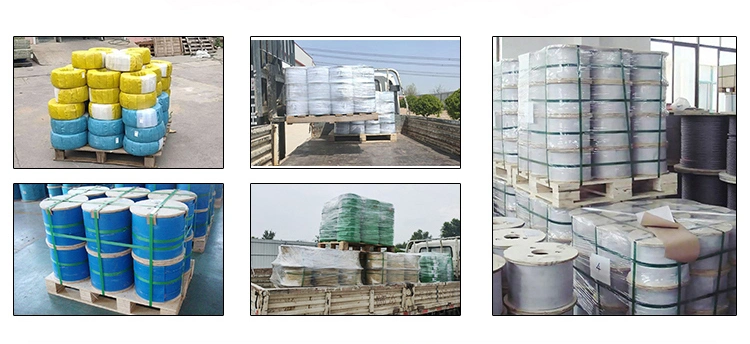 Grade Stainless Steel 304 316 6X19 PP 15mm Steel Wire Rope with Organic Core GOST 2688-80