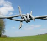 16G galvanized wire barbed fencing 100m, 250m 500m 1.6mm barbed wire fence price