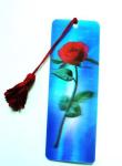 PLASTIC LENTICULAR Animated Morphing zoom Flip 3d Effect Plastic lenticular 3d