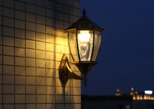 China Decoration 3W Solar Powered Outdoor Wall Lights Transparent Glass For Garden wholesale