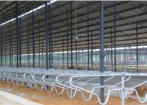 China Durable Customized Bedding Cow Milking Stall With Double Row Type wholesale