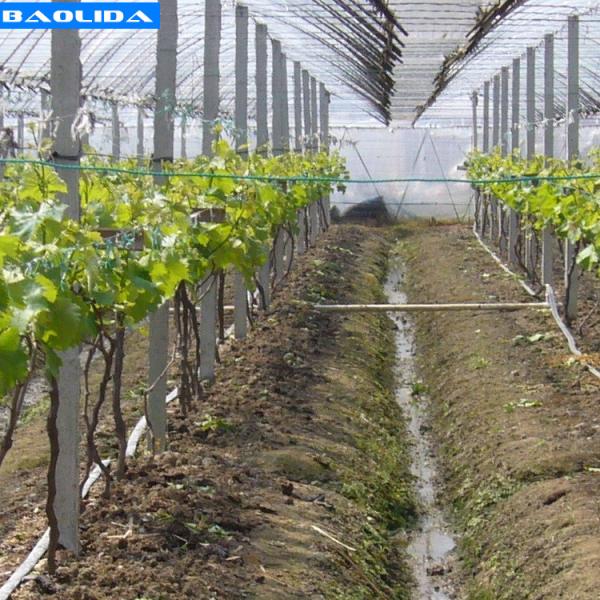 Irrigation Drip Greenhouse Irrigation System Pipe For Agriculture Trigger