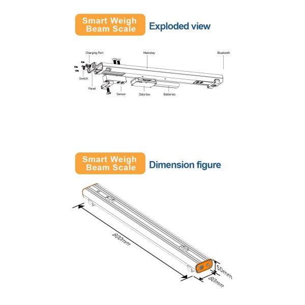 YanMing 3000kg Mobile Weighbridge – Smart & Portable Weighing Solution