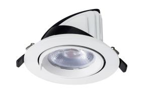 China IP20 30W LED Scoop Down Lights With 2700K- 5000K Dimmable LED Down Lights wholesale