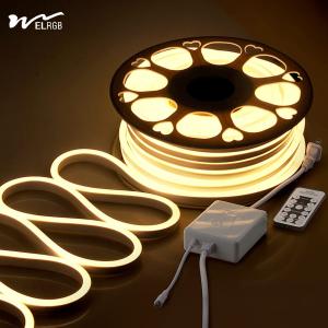 China 120LEDs Neon Rope Lights Dimmable 110V 220V Cuttable Remote Control Strip Light wholesale