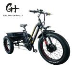 48V21AH Battery CE USA Market 750W 8FUN Front Motor 24-20inch 3 Wheels Fat Tire